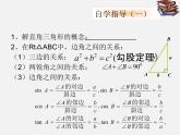 北京课改初中数学九上《21 解直角三角形复习 课件 北京课改版