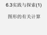 华东师大初中数学七下《6.3实践与探索》PPT课件 (5)