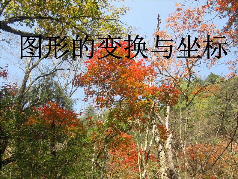 华东师大初中数学九上《23.6.2 图形的变换与坐标课件  (2)第1页