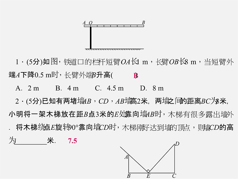 华东师大初中数学九上《23.3相似三角形》PPT课件 (5)第3页