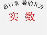华东师大初中数学八上《11.2实数》PPT课件 (1)