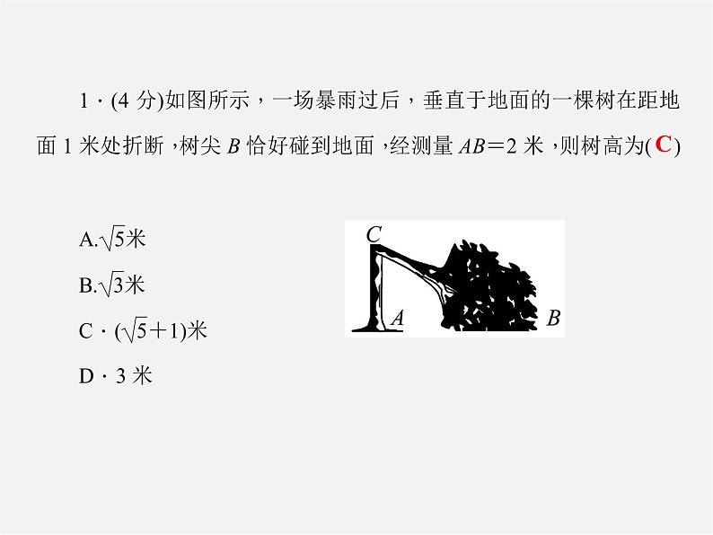 华东师大初中数学九上《24.1测量》PPT课件 (2)03