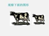 华东师大初中数学九上《23.2相似图形》PPT课件 (6)