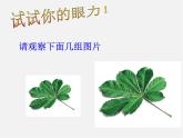 华东师大初中数学九上《23.2相似图形》PPT课件 (2)