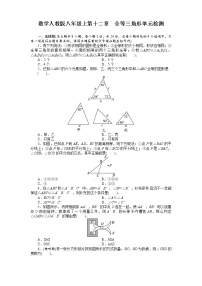 初中数学第十二章 全等三角形综合与测试单元测试复习练习题