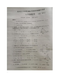 广西钦州市大寺中学2021-2022学年八年级上学期期中考试数学试题（图片版，无答案）