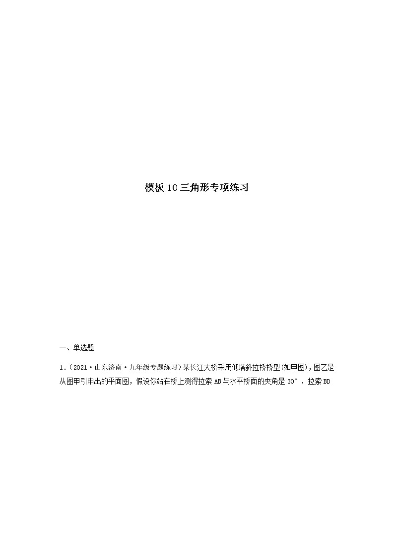 模板10 三角形专项练习（解析版）第1页