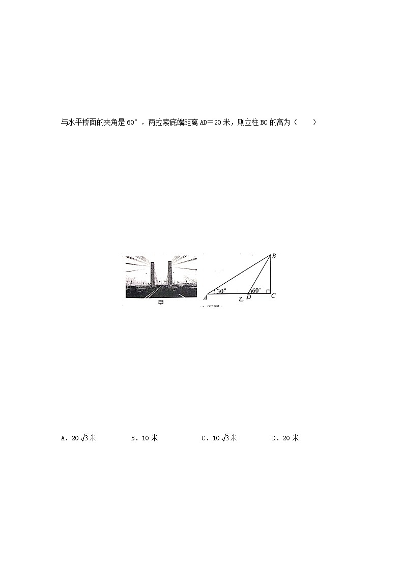 模板10 三角形专项练习（原卷版）第2页