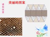 青島初中數(shù)學(xué)七下《13.2多邊形》PPT課件 (2)