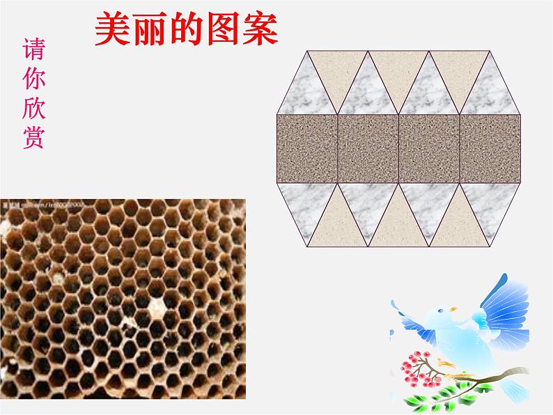 青岛初中数学七下《13.2多边形》PPT课件 (2)第3页