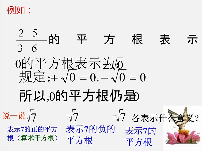 青岛初中数学八下《7.5平方根》PPT课件第7页