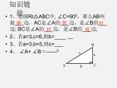 青岛初中数学九上《2.1锐角三角比》PPT课件 (2)