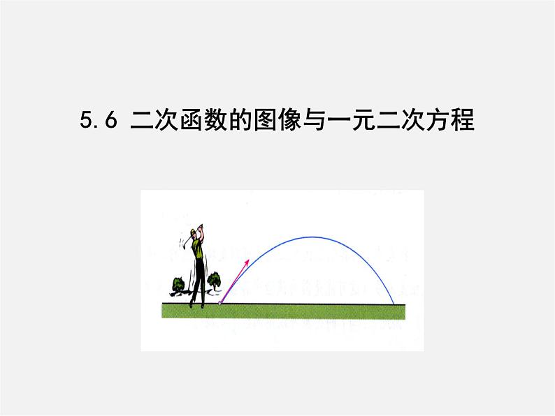 青岛初中数学九下《5.6二次函数的图像与一元二次方程》PPT课件 (1)01