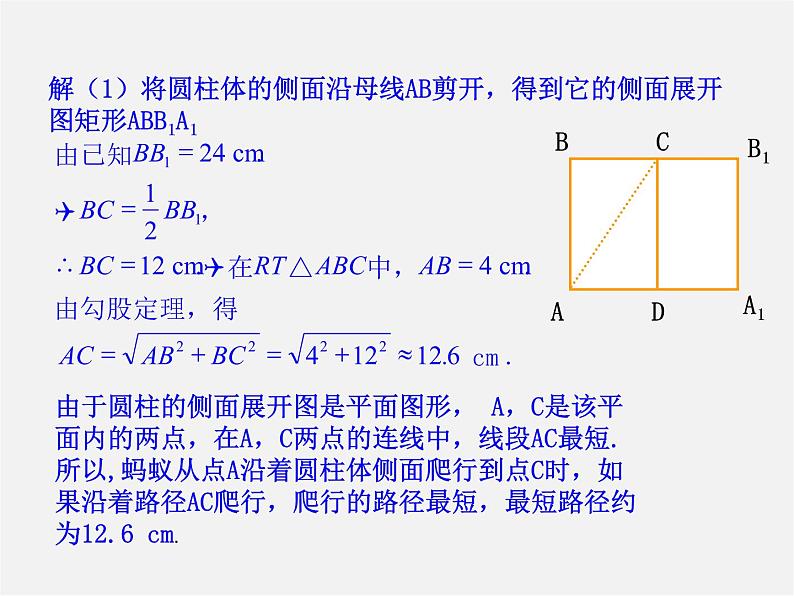 青岛初中数学九下《7.3圆柱的侧面展开图》PPT课件 (4)第5页