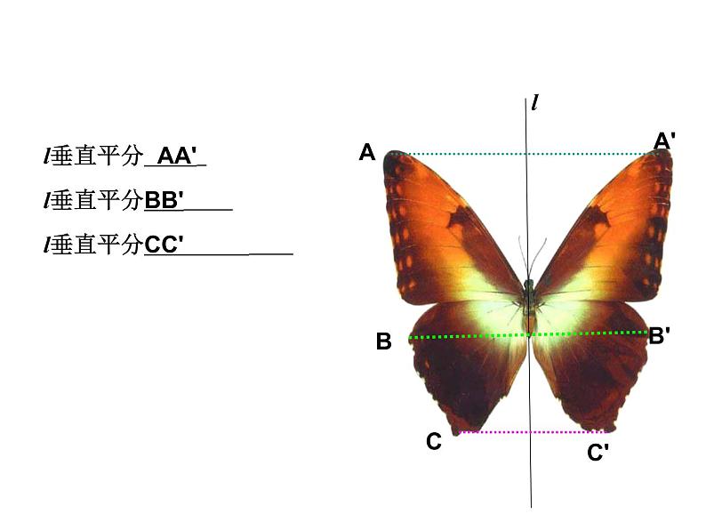 人教版数学八年级上册 13.1.2 线段垂直平分线的性质28p 课件第6页