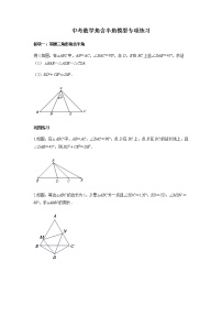 2021年中考数学二轮复习：角含半角模型专项练习（Word版无答案）