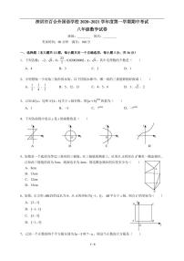 广东省深圳市百合外国语学校2020-2021学年第一学期八年级数学期中适应性考试（PDF版，无答案）练习题