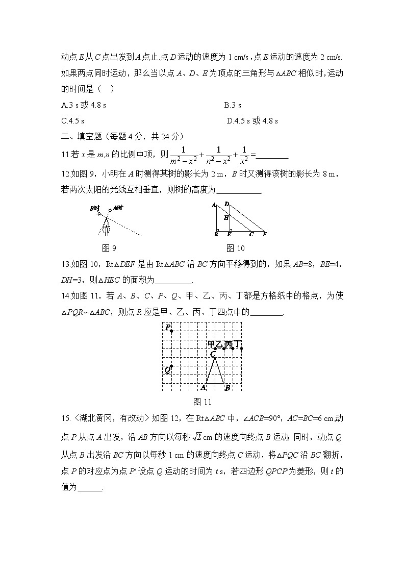 北师大九年级数学4.8《图形的相似》单元测试4第3页