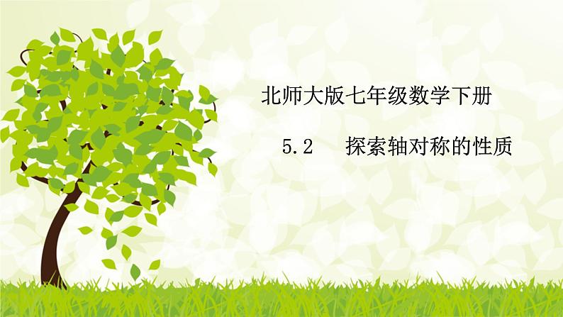 北师大版七年级数学下册 5.2   探索轴对称的性质 课件+练习01