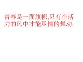 人教版八年级上册数学15.2.3整数指数幂课件(共22张PPT)