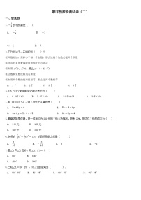 2021--2022学年人教版七年级上册数学期末模拟检测试卷（二）