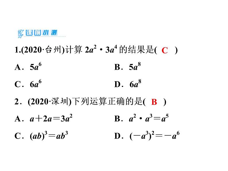 2021年中考数学复习课件：第1轮 第1章 第2讲　整式与因式分解（28张）第2页