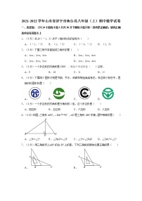 2021-2022学年山东省济宁市鱼台县八年级（上）期中数学试卷   解析版