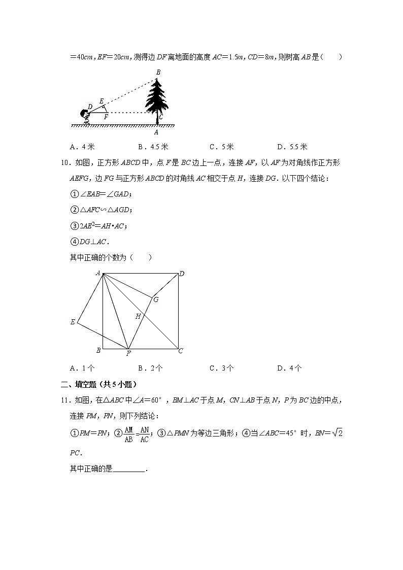专题06 ：27.2 相似三角形- 期末复习专题训练   2021-2022学年人教版数学九年级下册03