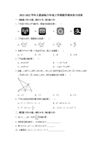 2021-2022学年人教版八年级上学期数学期末练习试卷（word版 含答案）