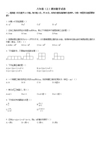 八年级（上）期末数学试卷5