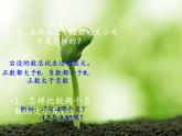 滬科版數(shù)學(xué)七年級(jí)上冊(cè) 1.3 有理數(shù)的大小(2) 課件