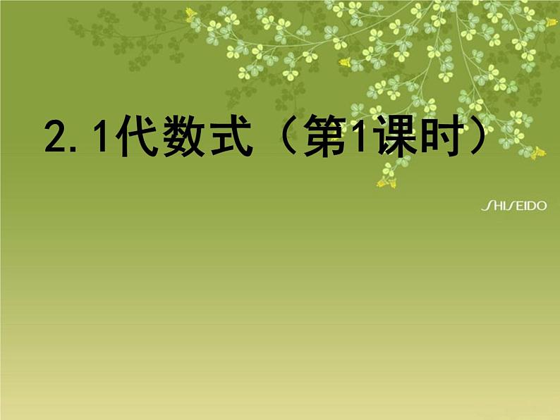 沪科版数学七年级上册 2.1 代数式-用字母表示数 课件第1页