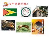 滬科版數(shù)學(xué)七年級(jí)上冊(cè) 4.4 角(8) 課件