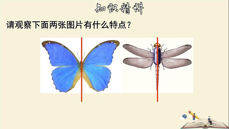 10.1.1 生活中的轴对称-2021-2022学年七年级数学下册教学课件(华东师大版)第6页