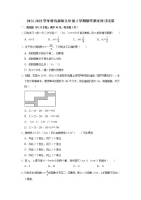 2021-2022学年青岛版九年级上册数学期末练习试卷（word版 含答案）