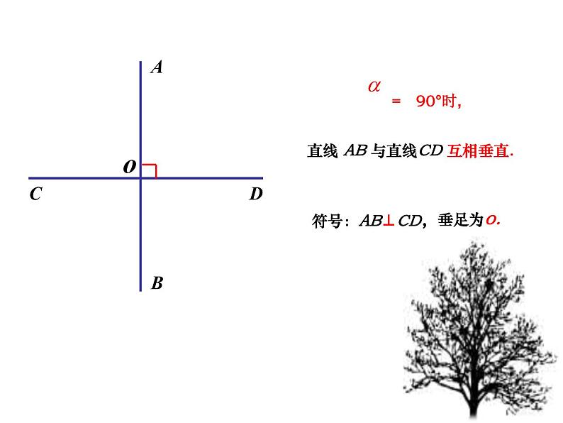 2021-2022学年人教版初中数学七年级下册第五章：5.1.2垂线课件PPT04