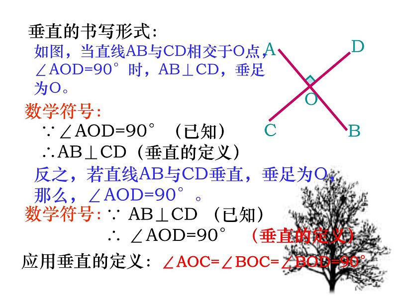 2021-2022学年人教版初中数学七年级下册第五章：5.1.2垂线课件PPT05