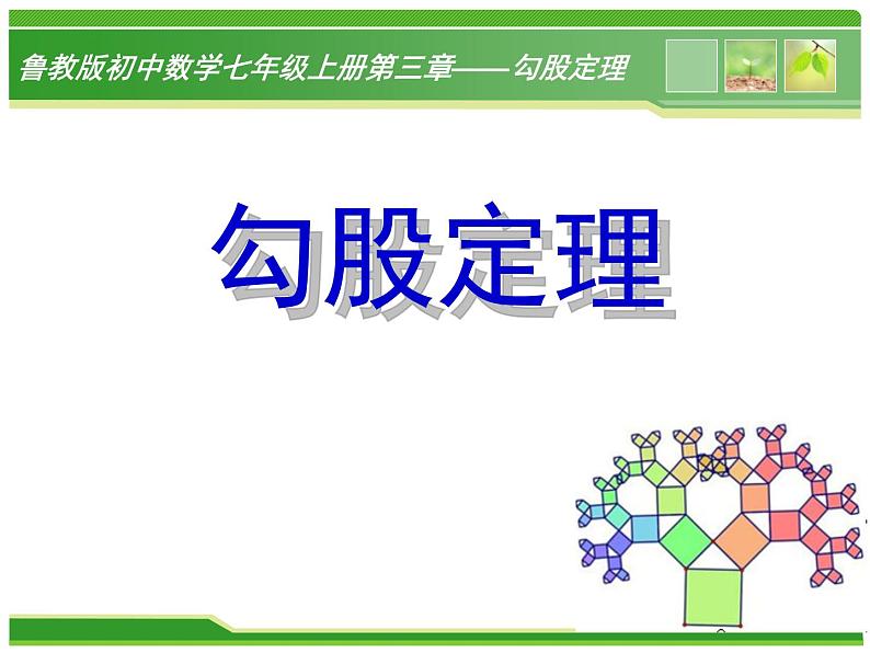 鲁教版（五四制）数学七年级上册 3.1 探索勾股定理（课件）02