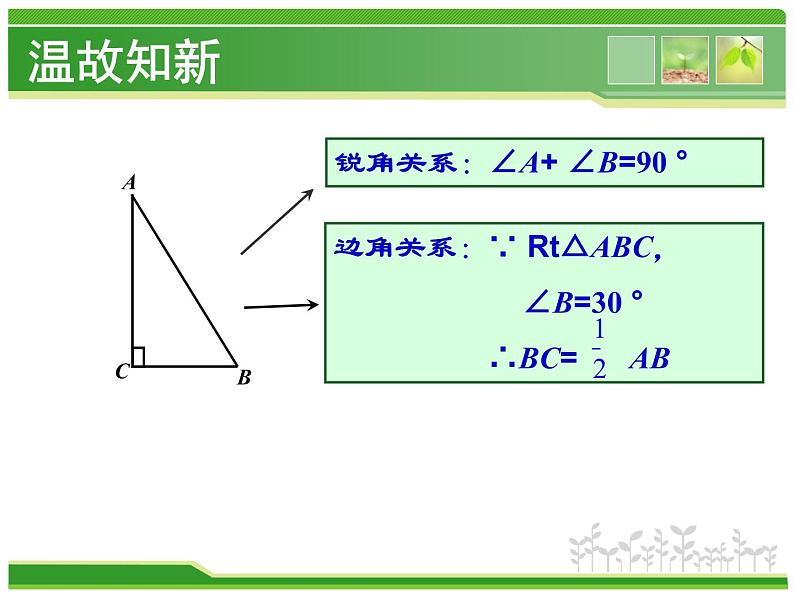 鲁教版（五四制）数学七年级上册 3.1 探索勾股定理（课件）03