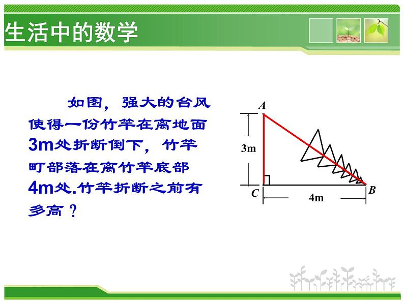 鲁教版（五四制）数学七年级上册 3.1 探索勾股定理（课件）04