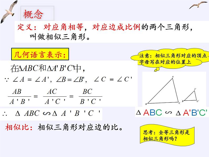 浙教版数学九年级上册 4.3 相似三角形（课件）04