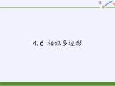 浙教版数学九年级上册 4.6 相似多边形（课件）