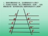 由平行线截得的比例线段PPT课件免费下载