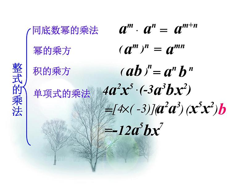 2022中考数学总复习——整式的乘法 专项复习(共46张PPT)课件PPT02