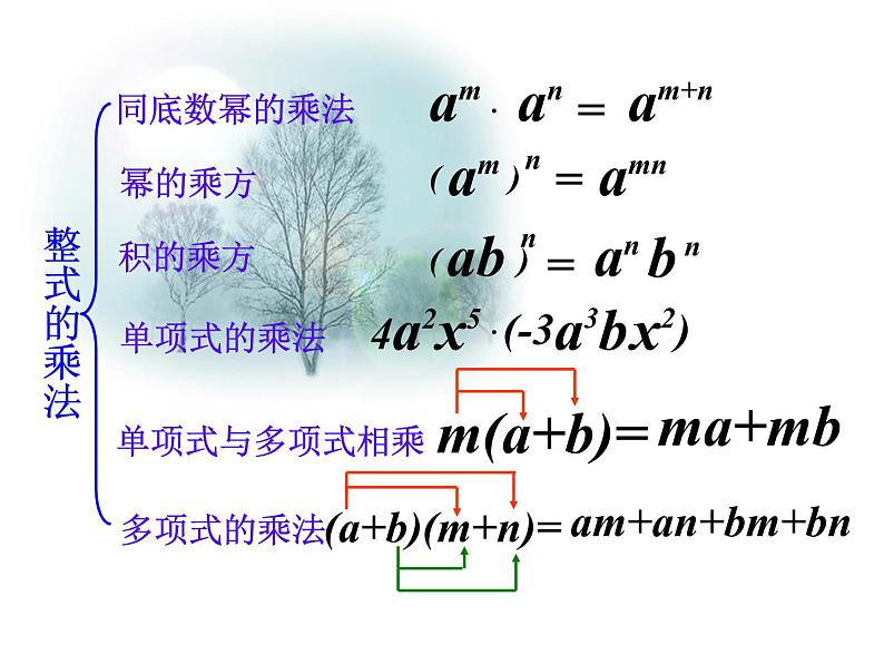 2022中考数学总复习——整式的乘法 专项复习(共46张PPT)课件PPT03