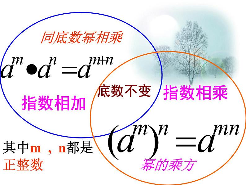 2022中考数学总复习——整式的乘法 专项复习(共46张PPT)课件PPT04