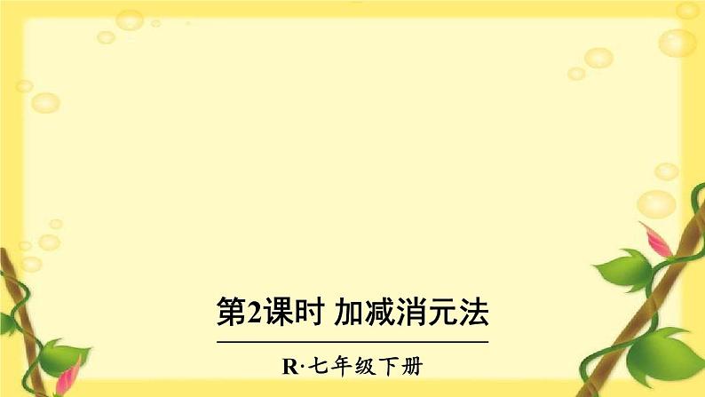 第2课时 加减消元法第1页