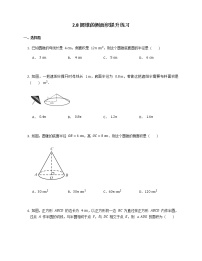 数学九年级上册2.8 圆锥的侧面积同步测试题