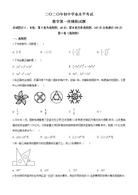 精品解析：2020年山东省泰安市泰山区九年级中考一模数学试题（解析版+原卷版）