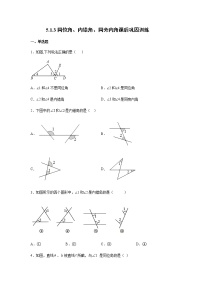 初中数学5.1.3 同位角、内错角、同旁内角达标测试